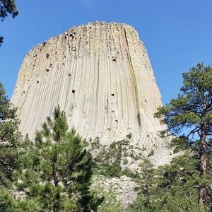 Meet your Posher, Alison